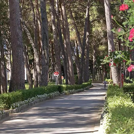 Apartman Front In With Wifi Poreč