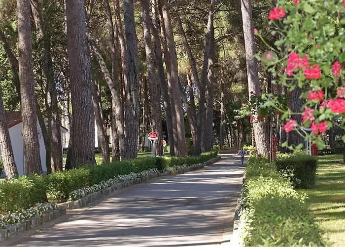 Apartman Front In With Wifi Poreč